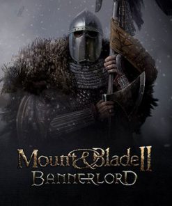 Mount & Blade II: Bannerlord - Digital Steam code