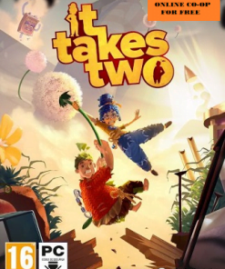 It Takes Two - Digital Steam Code