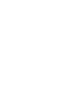 Key icon