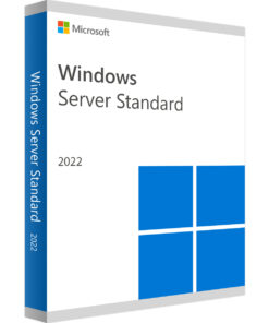Windows Server 2022 Standard - One-time purchase - Digital license key