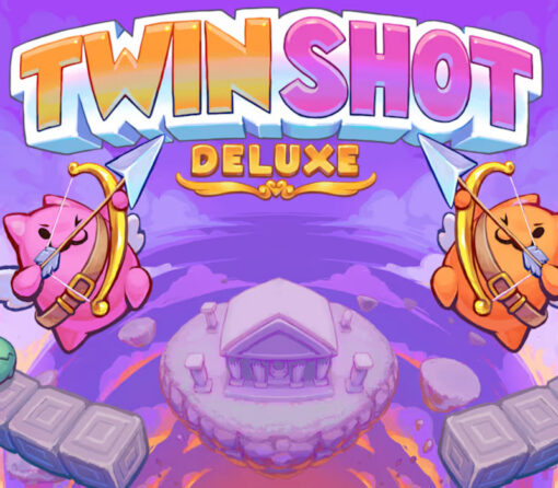 Twin Shot Deluxe PC Steam CD Key