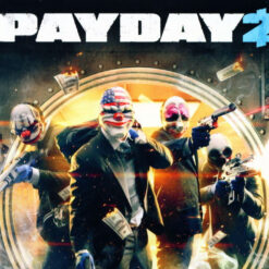 PAYDAY 2 Nintendo Switch Access
