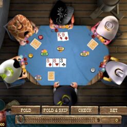 Governor of Poker 2 - Premium Edition Steam CD Key