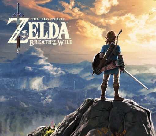 The Legend of Zelda: Breath of the Wild Nintendo Switch Access