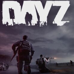 DayZ PS4 Account