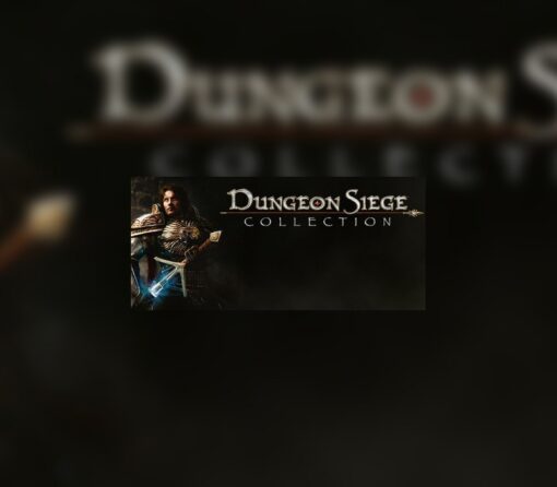 Dungeon Siege Collection PC GOG CD Key