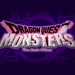 DRAGON QUEST MONSTERS: The Dark Prince Nintendo Switch Access