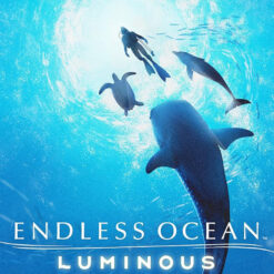 Endless Ocean Luminous Nintendo Switch Access