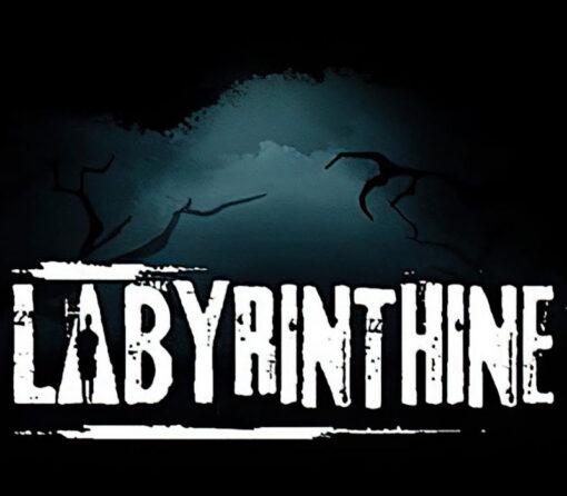 Labyrinthine PC Steam Account
