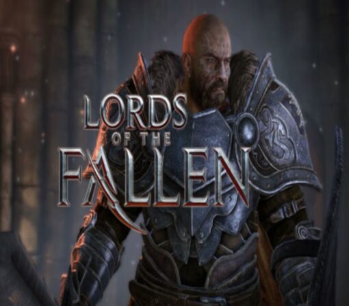 Lords of the Fallen PS4 Account