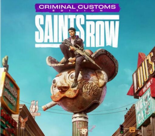 Saints Row: Criminal Customs Edition EU PC Epic Games CD Key