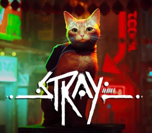 Stray PC Steam CD Key