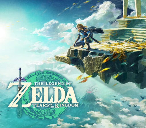 The Legend of Zelda: Tears of the Kingdom Nintendo Switch Access