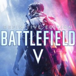 Battlefield V Definitive Edition PS4 Account