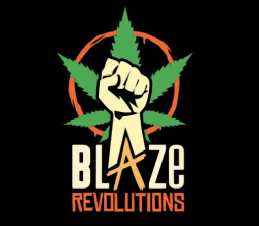 Blaze Revolutions PC Steam CD Key