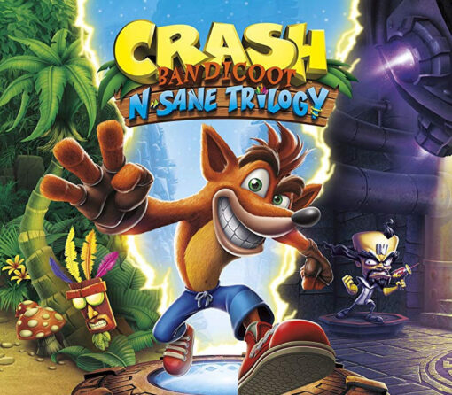 Crash Bandicoot N. Sane Trilogy Nintendo Switch Access