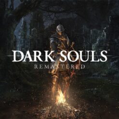 Dark Souls: Remastered Nintendo Switch Access