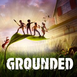Grounded Nintendo Switch Access