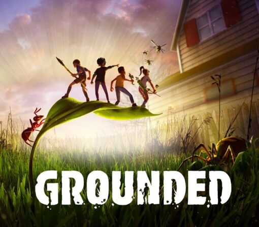 Grounded Nintendo Switch Access