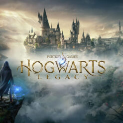 Hogwarts Legacy Nintendo Switch Access