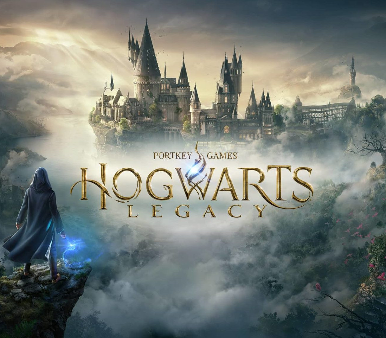 Hogwarts Legacy Nintendo Switch Access