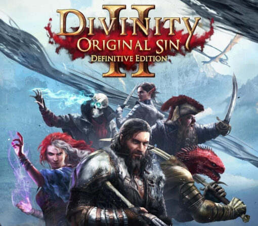 Divinity: Original Sin 2 Definitive Edition Nintendo Switch 2 Access
