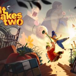 It Takes Two PS4 Account
