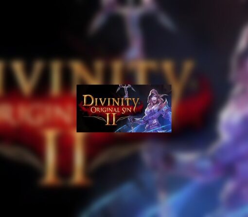 Divinity: Original Sin 2 - Divine Ascension DLC GOG CD Key