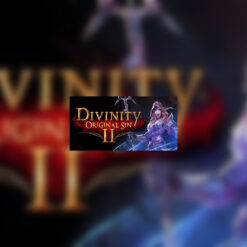 Divinity: Original Sin 2 GOG CD Key