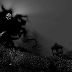 Betrayer Steam Gift